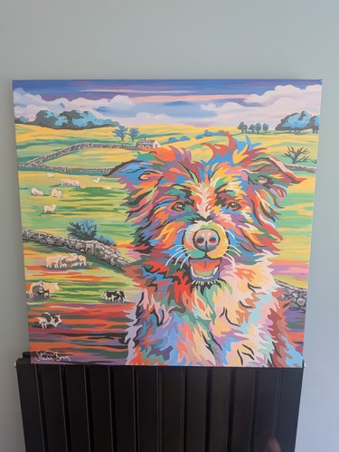 Steven brown colourful - brown,