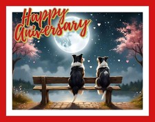 Happy Anniversary Collie Dog