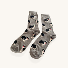 BORDER COLLIE SOCKS GREY DOG