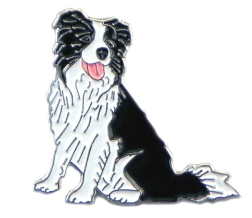 Border collie sheep - collie, dog