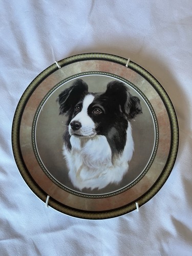 Border collie decorative - collie, plate