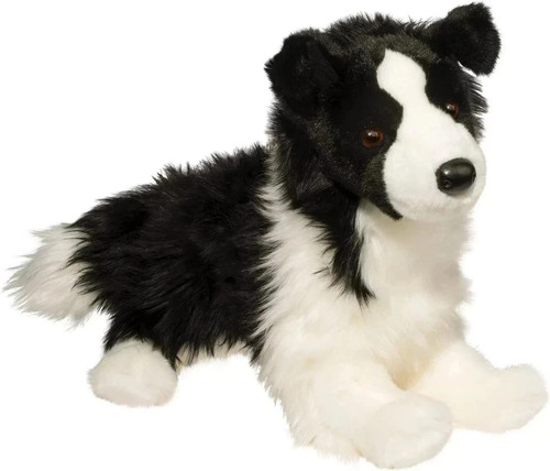 Dougles chase border collie - dougles,