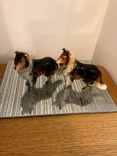 pair rough collie dogs mint