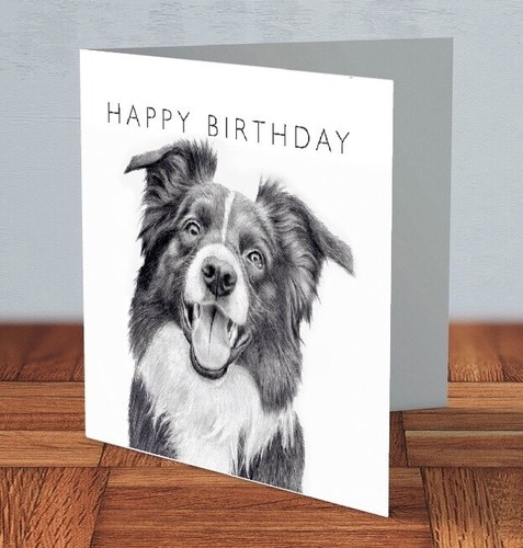 Border collie birthday card - border,