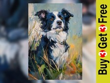 Border Collie Portrait Print
