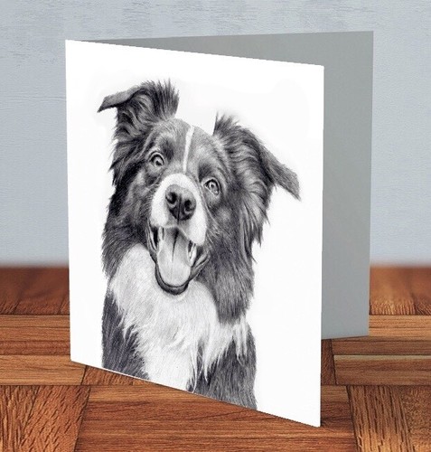 Border collie greeting - greeting, card