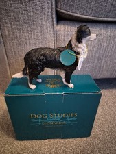 Border Collie Sheepdog Sheep