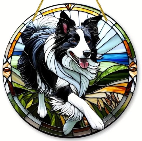 Border collie sheep - border, dog
