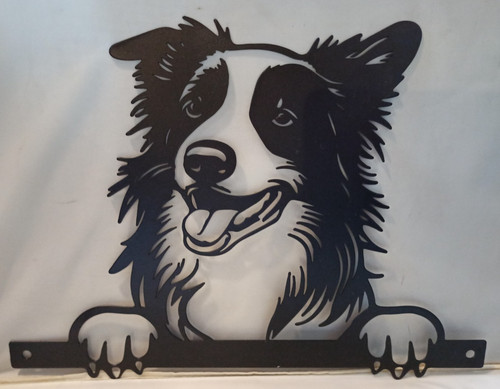 Peeking border collie - peeking, dog