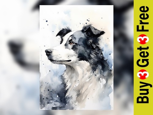 Border collie watercolor print - watercolor,