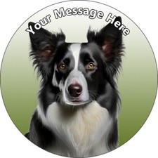Border Collie Dogs