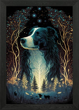 Border Collie Dog Forest