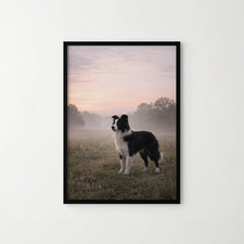 A4 Borderless Dog Print Border
