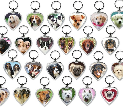 Dog keyrings heart shape - shape, pug