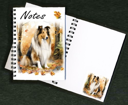 Rough collie dog - collie,
