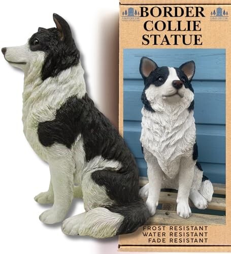 Border collie 5cm - 29.5cm, hand