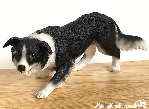 Border collie sheepdog classic - border,