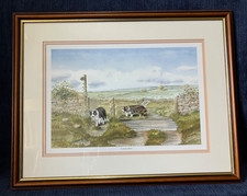 Coming Home Border Collie