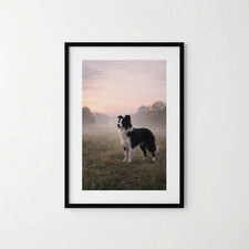 A4 Dog Print Border Collie in