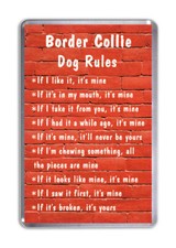 Border Collie Dog Rules, Funny