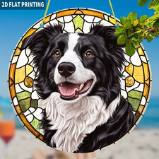 Happy Border Collie Dog