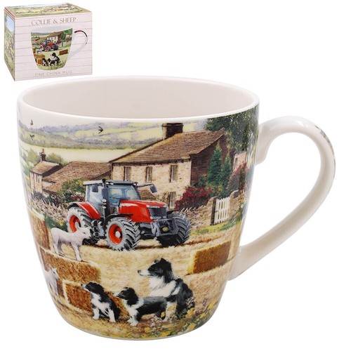 Border collie dog and sheep - collie,