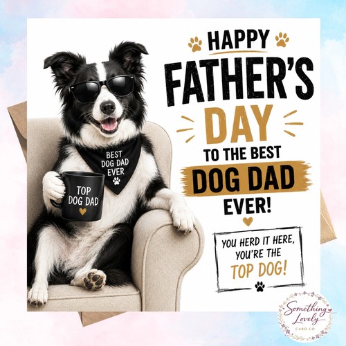 Border collie dog - collie, dad