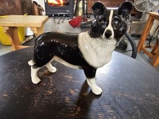 Large Border Collie Black