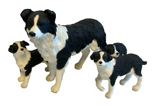 Border Collie Group Height