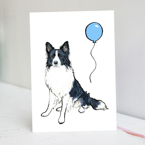 Border collie birthday card - border,
