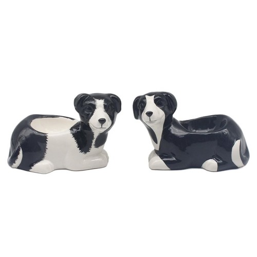 Leonardo set collie dogs - collie,