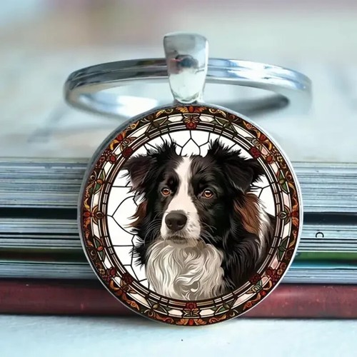 Border collie dog - collie,